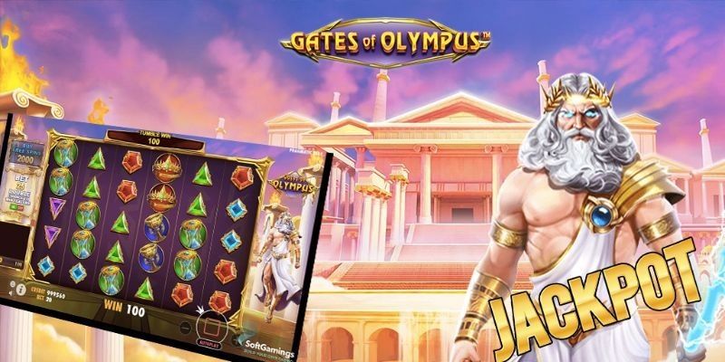 Những thông tin cơ bản về cánh cổng Olympus Kingfun